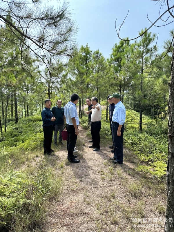 日照市学杨公风水跟陈荣昌老师实在